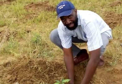 Nyaradzo confers 26 inmates with tree growing certificates